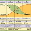 DTM and descriptions