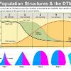 DTM and population pyramids